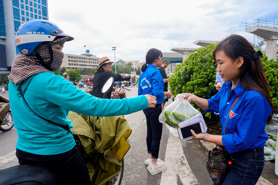 Sinh viên đội mưa giải cứu hàng tấn dưa chuột cho nông dân xứ Nghệ